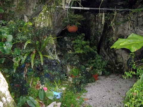 'Jardin de Orquideas' Casas particulares are an alternative to hotels in Cuba.